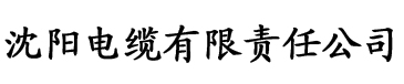 俺去啦网站电缆厂logo